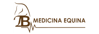 Medicina Equina